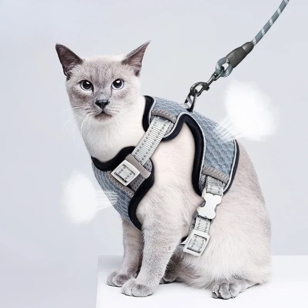 Escape Proof Cat Harness & Leash Adjustable Reflective