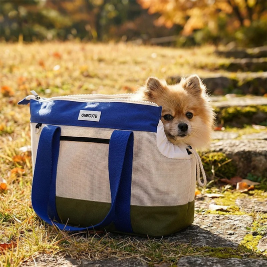 Borsa a tracolla impermeabile per cani e gatti