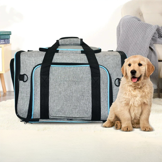 Borsa Trasportino Espandibile per Cani e Gatti